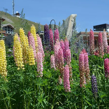 Hotel apartamentowy Santa Terra Tignes